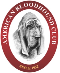 americanbloodhoundclub